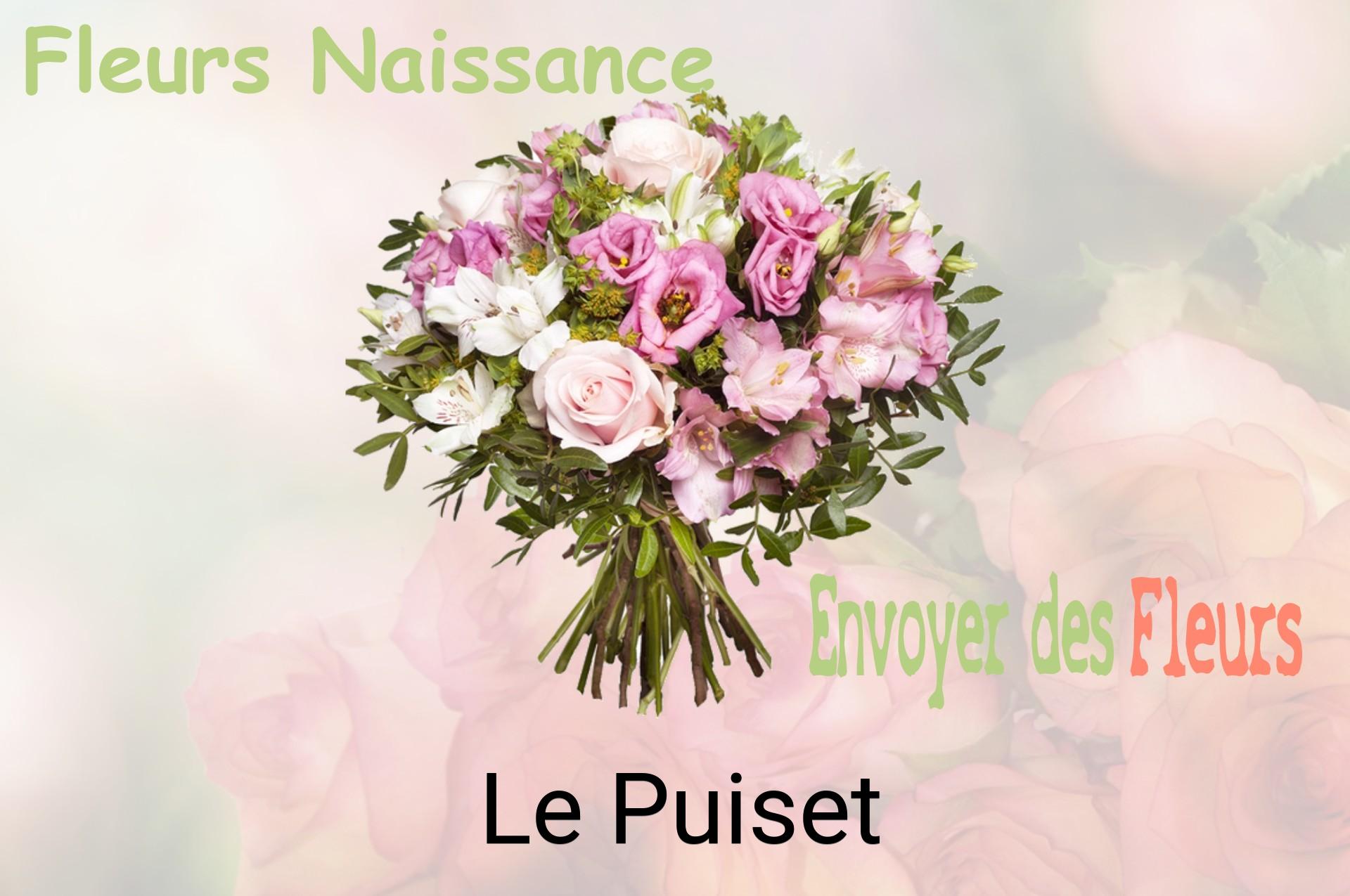 Bouquet de fleurs de naissance livré à Le Puiset